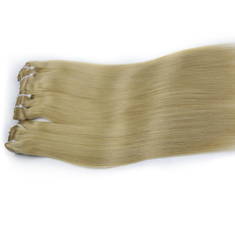 Brown Clip in Virgin Hair Extensions