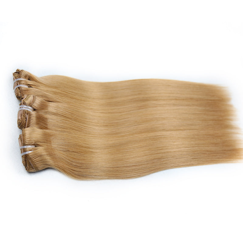 27 Clip in Raw Hair Extensions