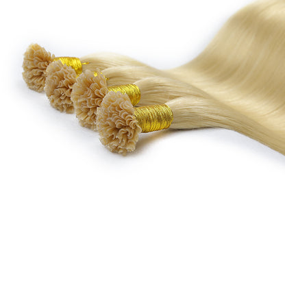 #22 U Tip Raw Hair Extensions